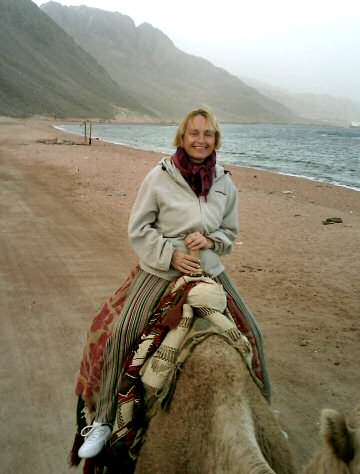 J na velbloudu mezi skalami Sinajskho poloostrova a Rudm moem 